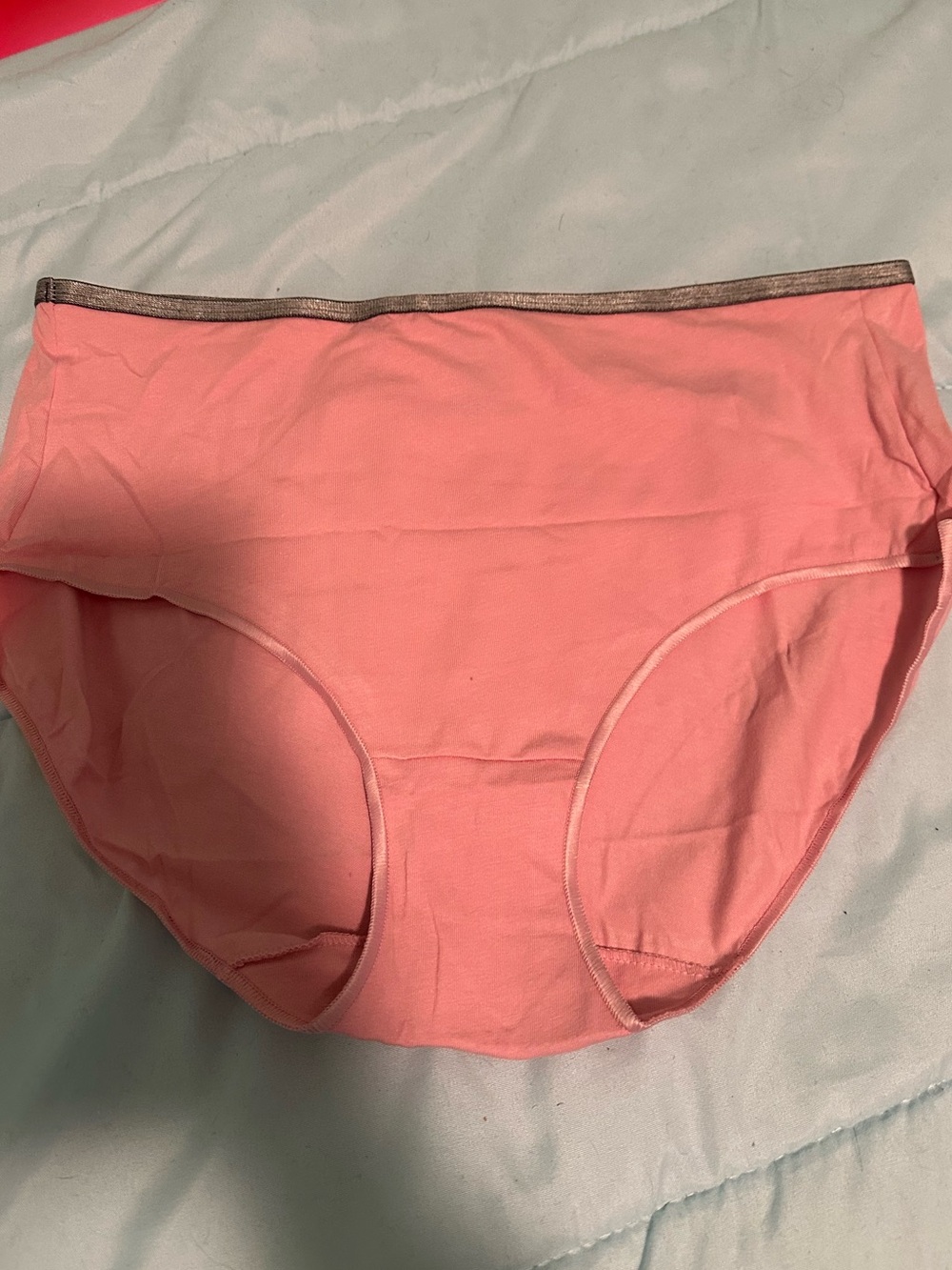 Hanes Women’s Underwear